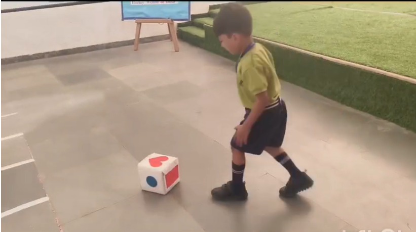 Roll & Reach Activity